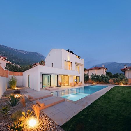 Villa Neo With 2 Private Pools, Bbq, Jacuzzi And Sauna Fethiye Exterior photo
